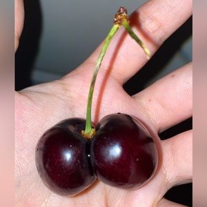 Meet your Posher, Adamary